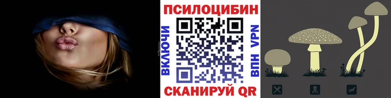Галлюциногенные грибы Psilocybine cubensis  Купить где  Узловая 